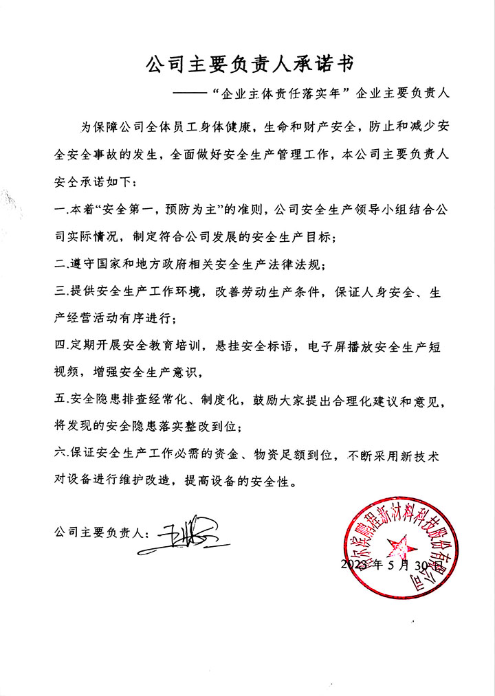 羞羞视频在线新材-“公司主要負責人承諾書”